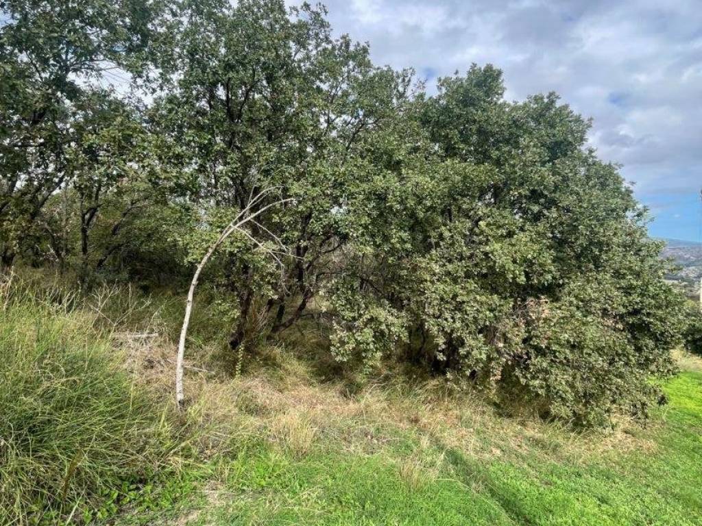 Terreno a Roccella ionica in località Sant'Onofrio - Foto 4