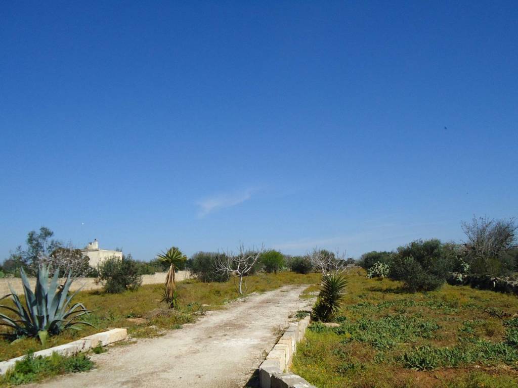 Terreno a Taviano in Via Bove dei Beneficati - Foto 3