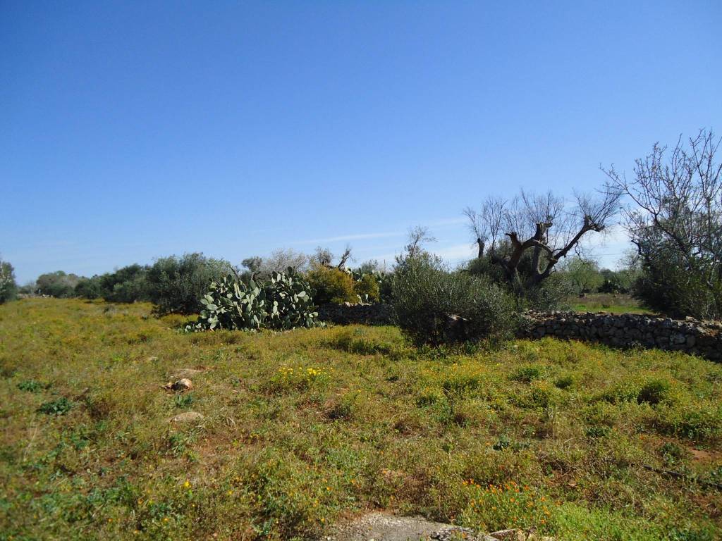 Terreno a Taviano in Via Bove dei Beneficati - Foto 5