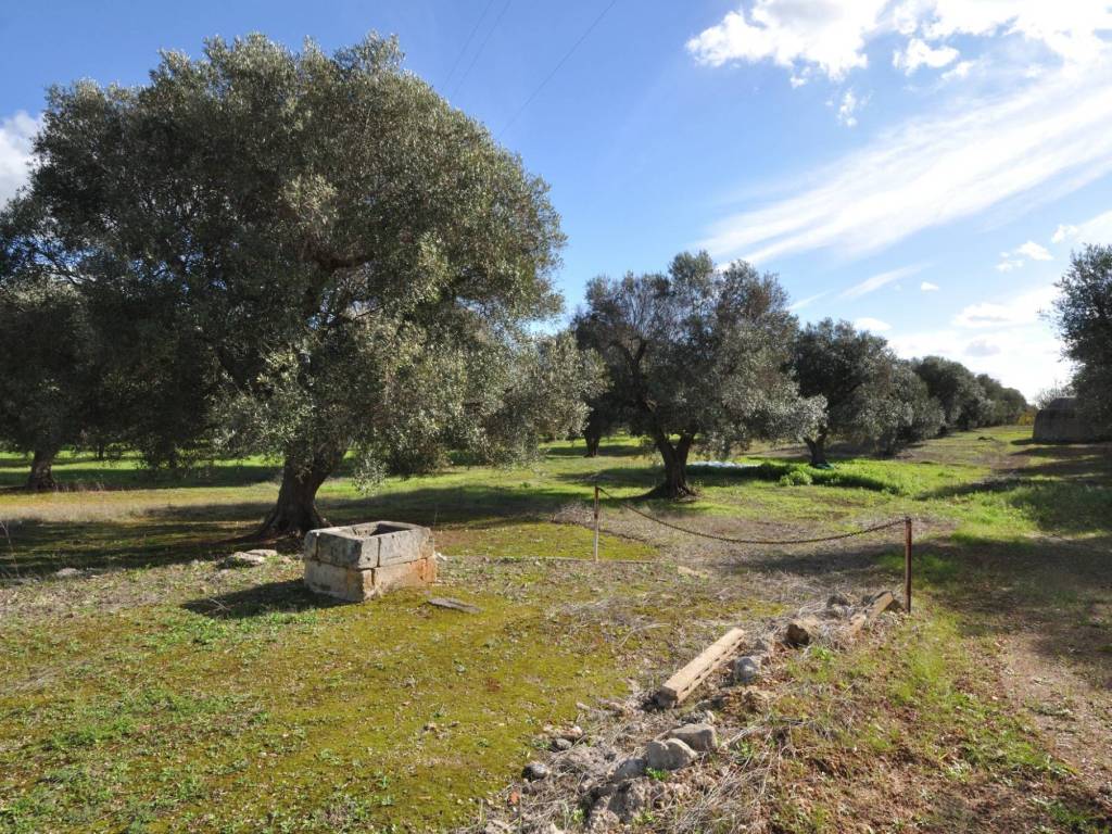 Rustico / casale a San vito dei normanni in Contrada Signoranna - Foto 2