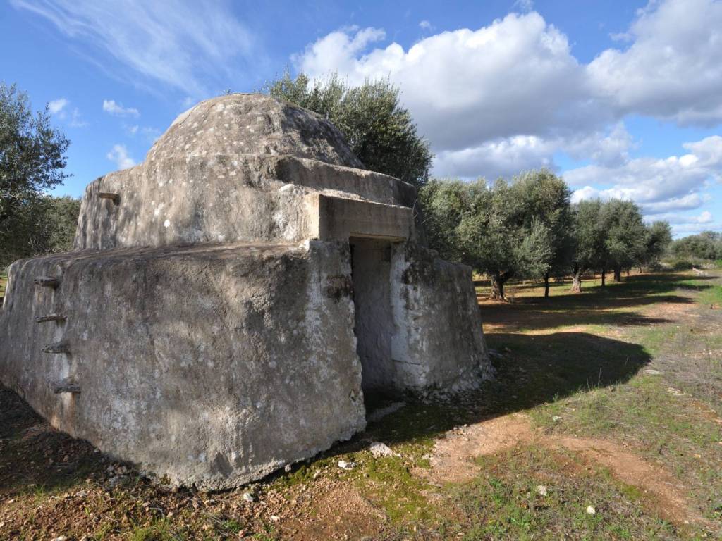 Rustico / casale a San vito dei normanni in Contrada Signoranna - Foto 3