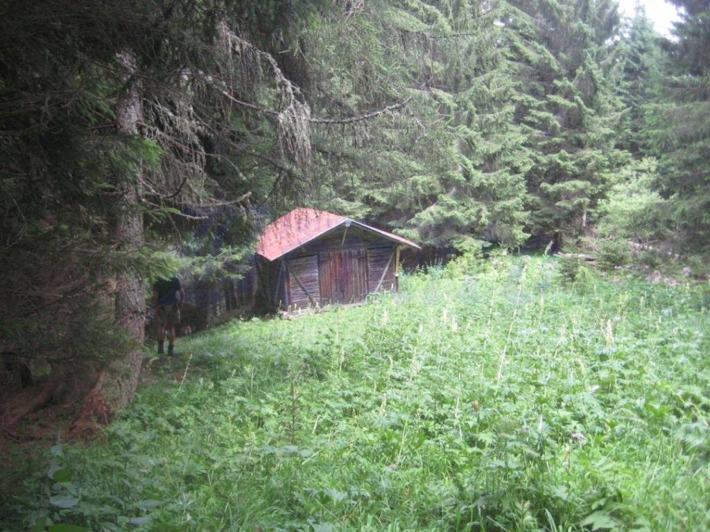 Rustico / casale a Auronzo di cadore - Foto 3