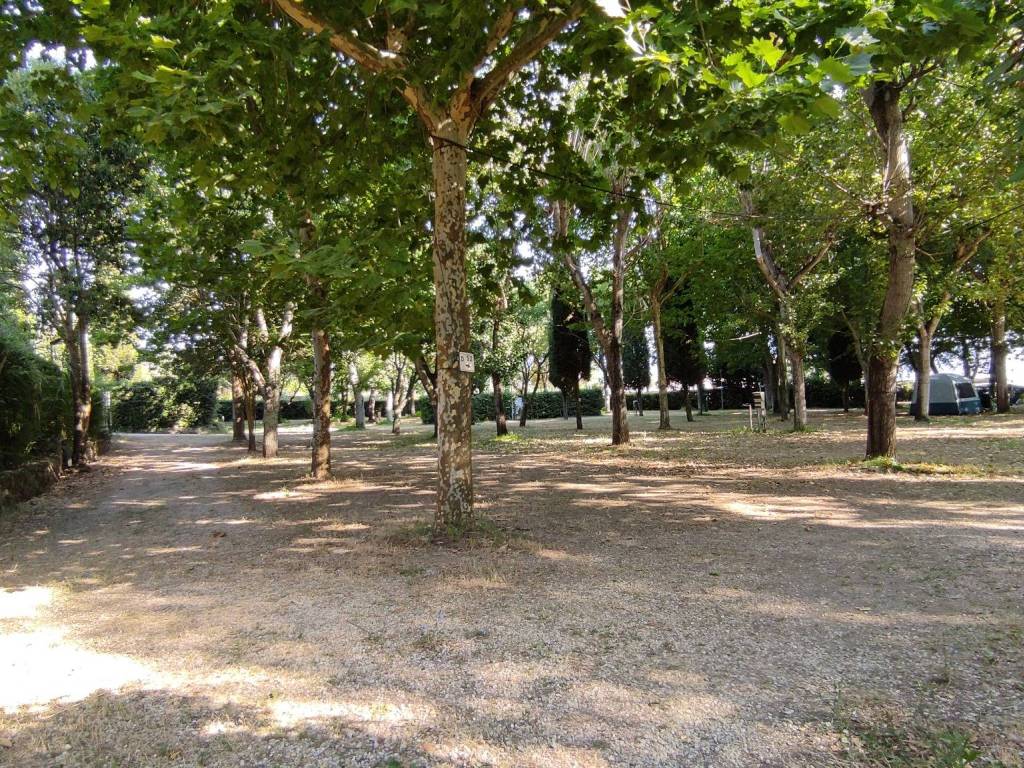 Rustico / casale a Bracciano in Via del Porticciolo - Foto 5