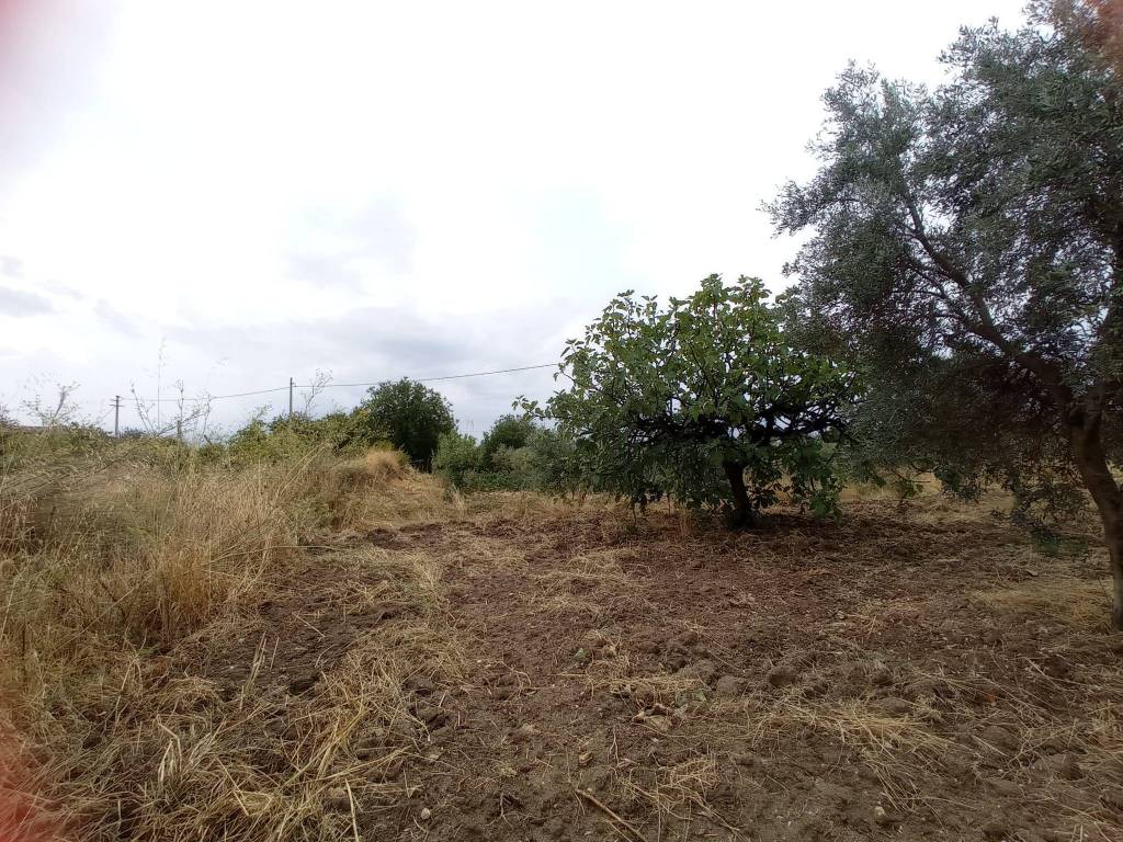 Terreno a Roccella ionica in Bosco Catalano - Foto 5