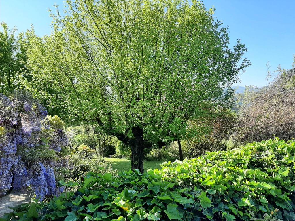 Villa a Acqui terme in Strada della Maggiora, 12 - Foto 2