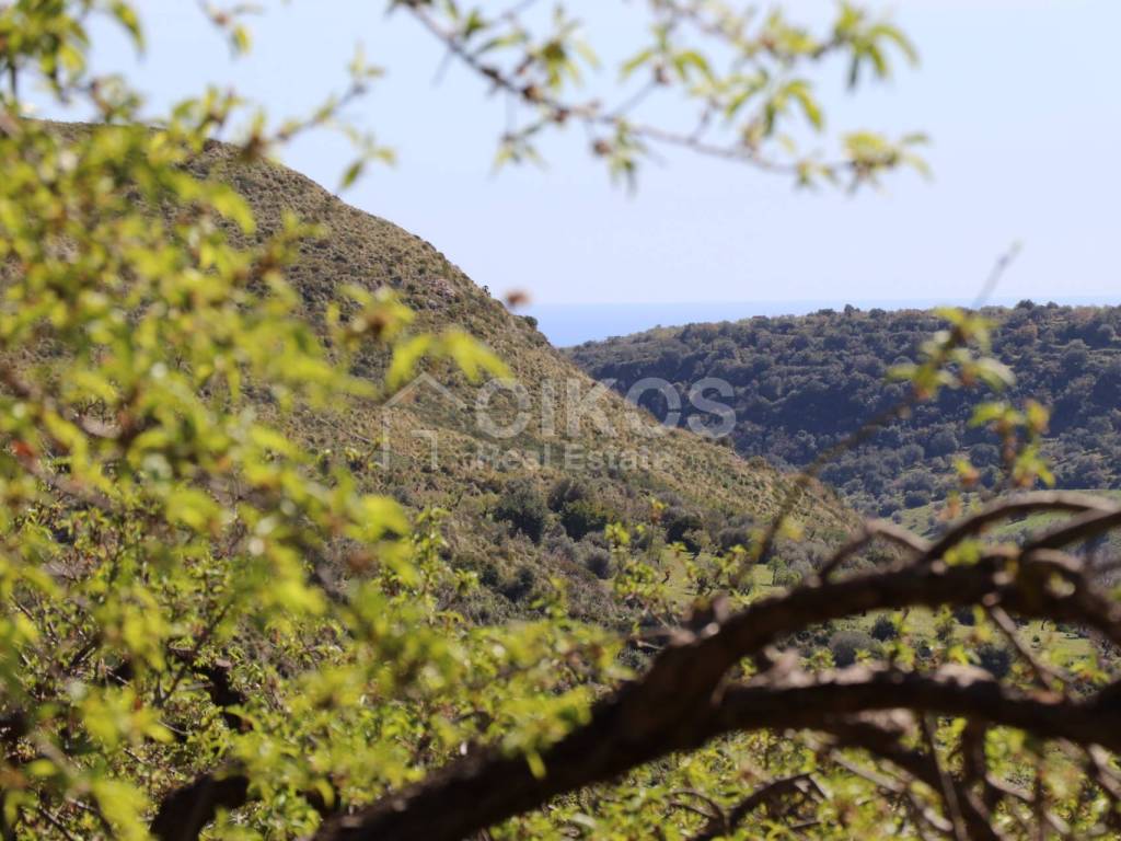 Terreno a Noto in C.da Fiumara - Foto 2