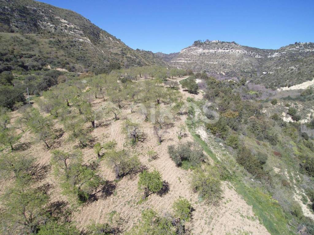 Terreno a Noto in C.da Fiumara - Foto 3