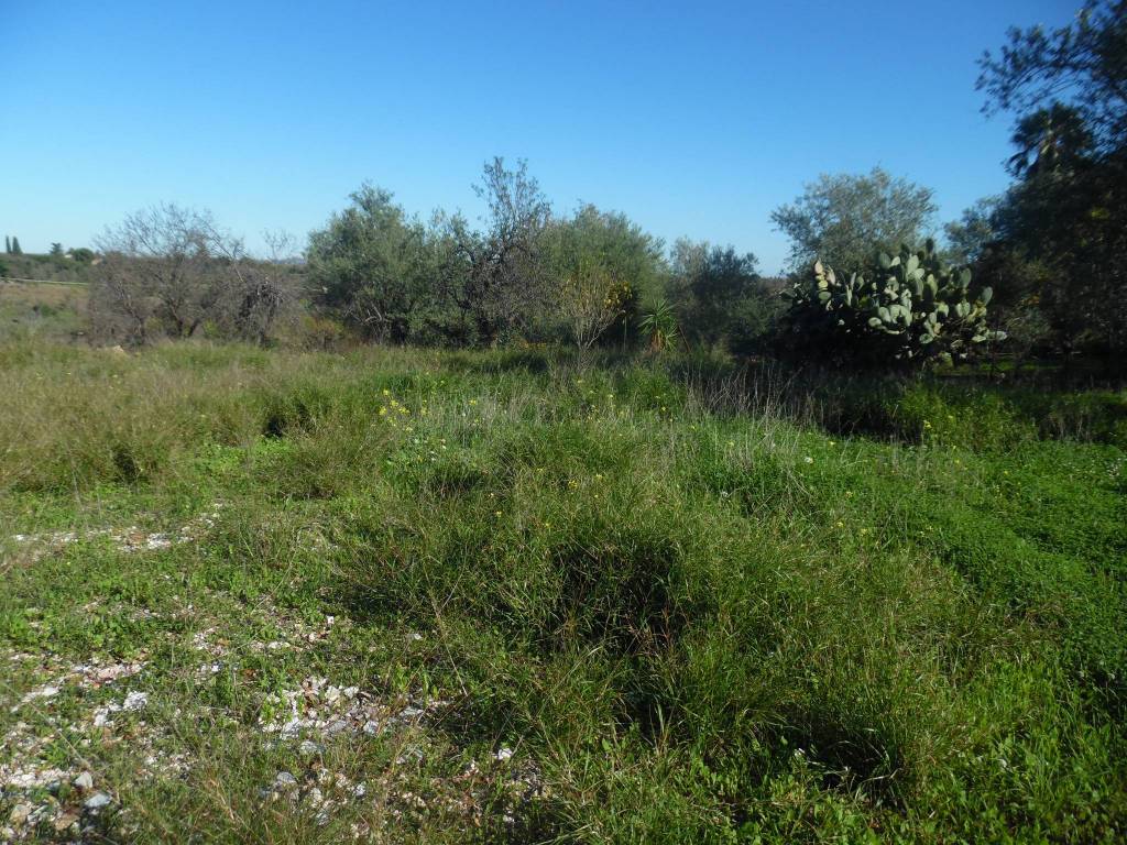 Terreno a Floridia - Foto 4