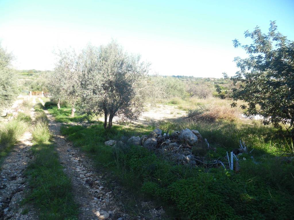 Terreno a Floridia - Foto 5