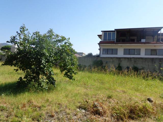 Terreno a Gioiosa ionica in CONTRADA MARATA - Foto 3