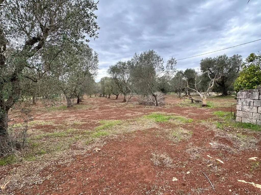 Rustico / casale a Ostuni in Contrada Falgheri S.N.C. - Foto 2