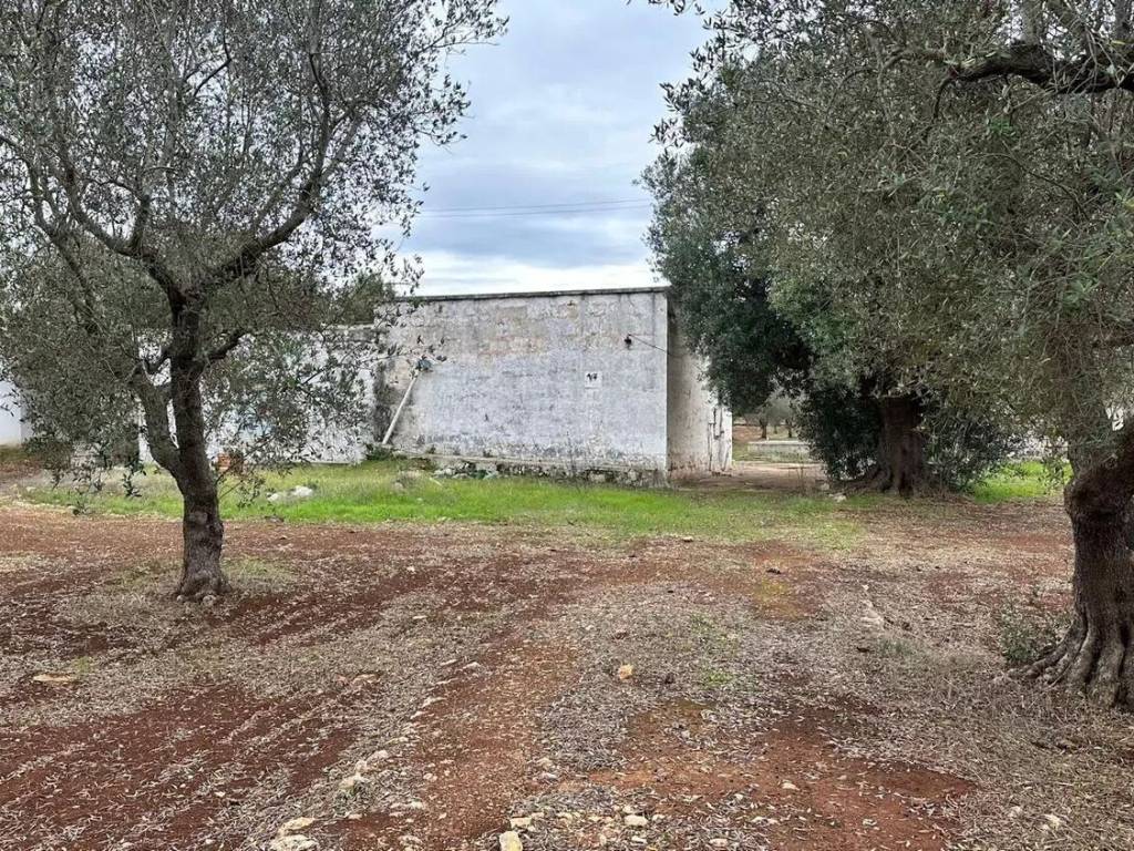 Rustico / casale a Ostuni in Contrada Falgheri S.N.C. - Foto 4