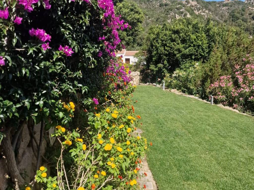 Villa a Arzachena in Porto Cervo - Foto 4