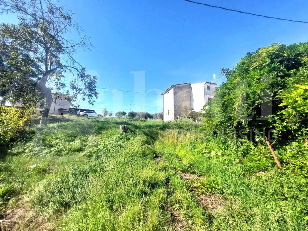 Terreno a Castel frentano in VIA TEOFILO PATINI, 76 - Foto 5