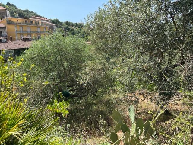 Terreno a Perdifumo in perdifumo - Foto 2