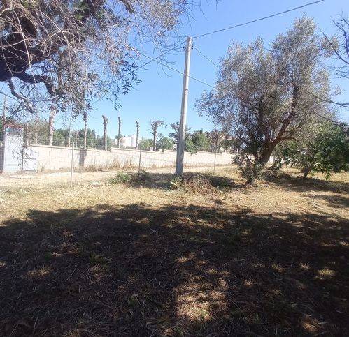 Terreno a Nardò in Sp286 46 - Foto 3