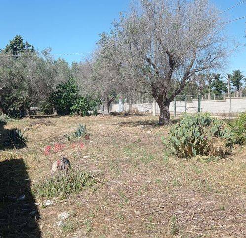 Terreno a Nardò in Sp286 46 - Foto 4