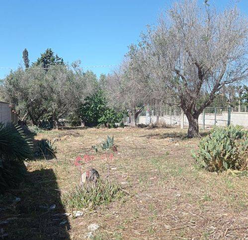 Terreno a Nardò in Sp286 46 - Foto 5