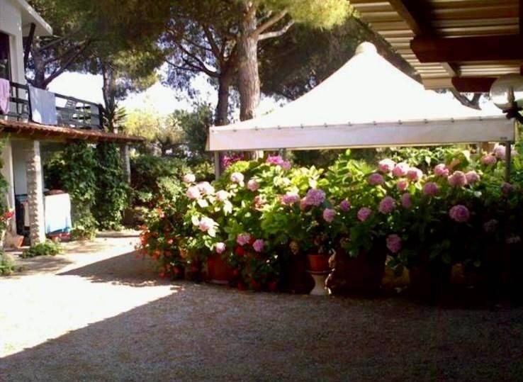 Villa a Capoliveri - Foto 5