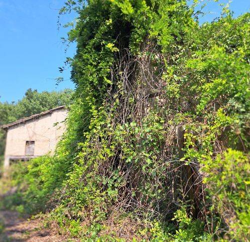 Rustico / casale a Reggio emilia - Foto 5