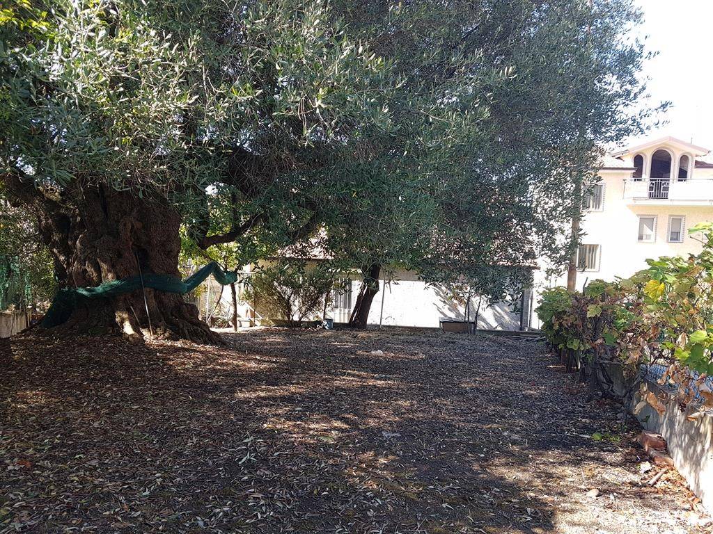 Terreno a Ascea in Via degli Ulivi, 6 - Foto 3