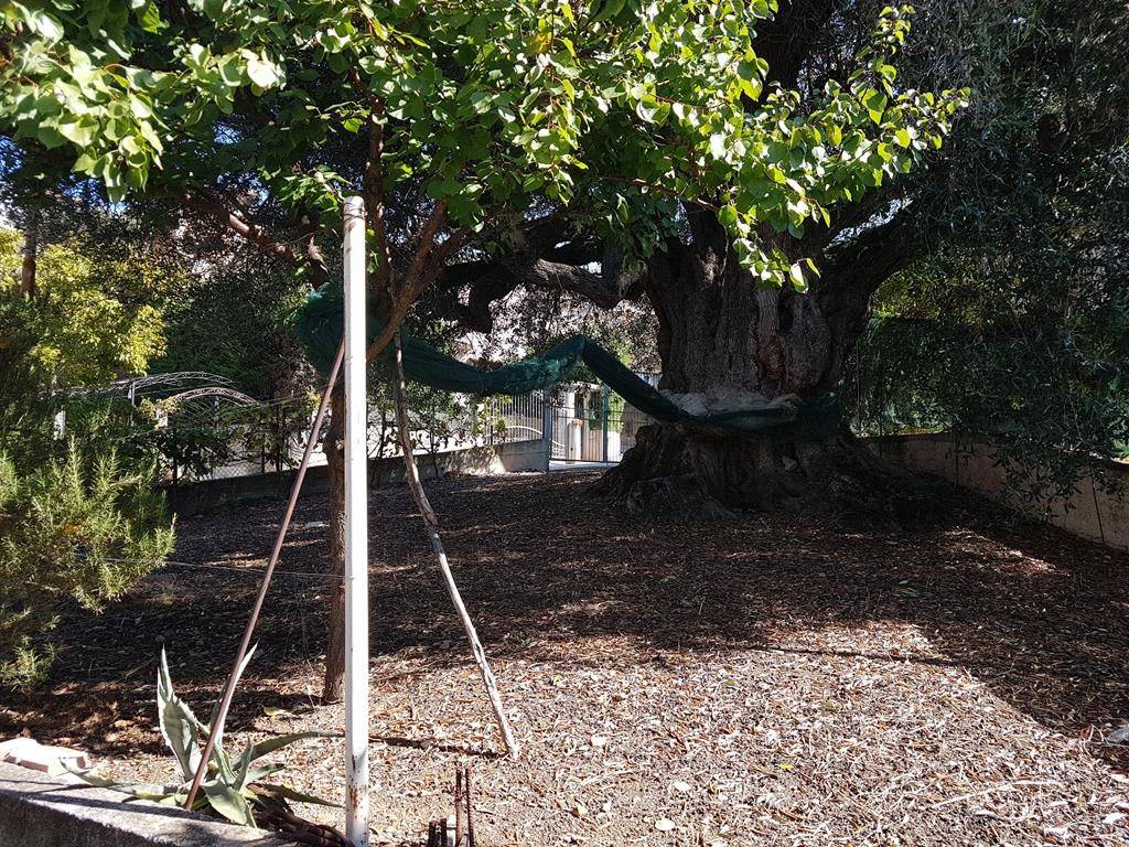 Terreno a Ascea in Via degli Ulivi, 6 - Foto 4
