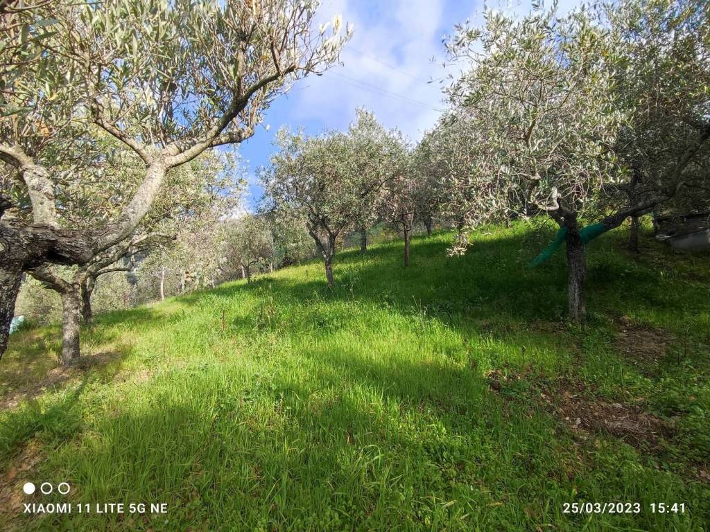 Terreno a Ascea in SP269a - Foto 3