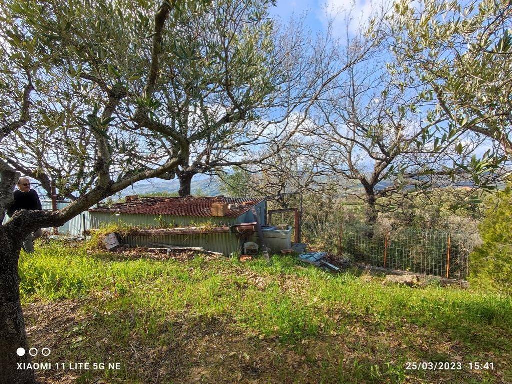 Terreno a Ascea in SP269a - Foto 4