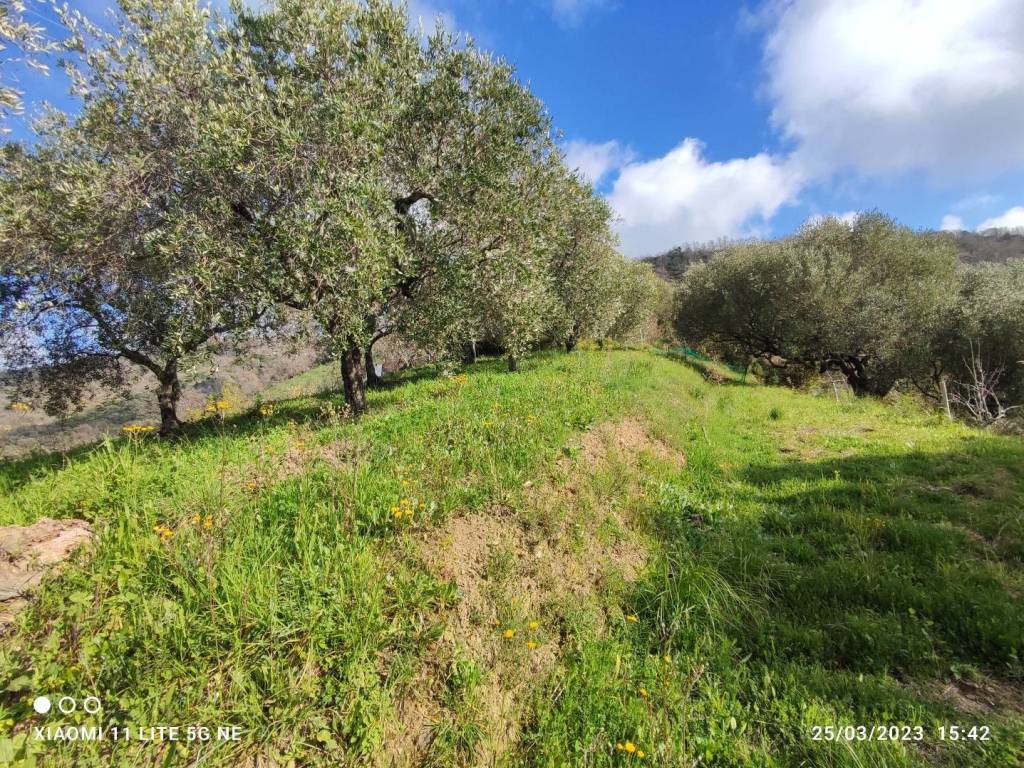 Terreno a Ascea in SP269a - Foto 5