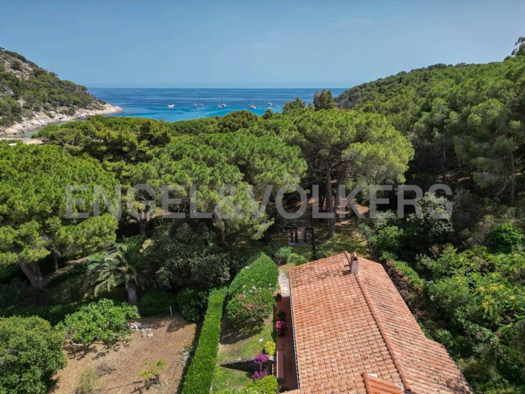 Villa a Campo nell'elba - Foto 2
