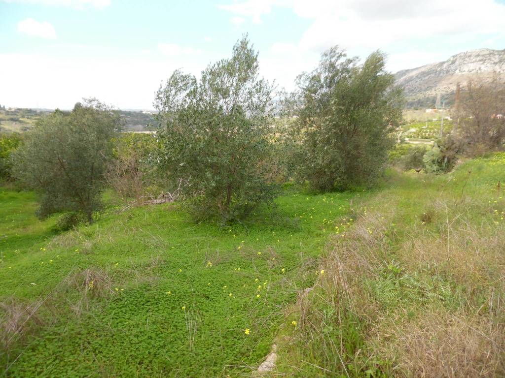 Terreno a Floridia - Foto 2