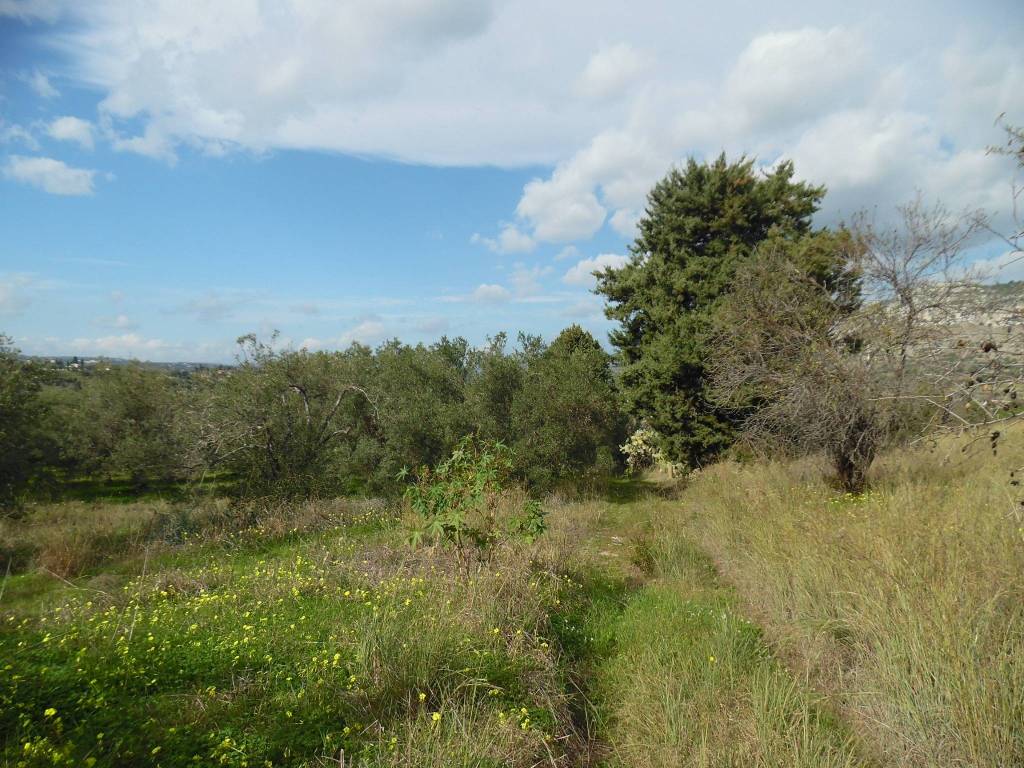Terreno a Floridia - Foto 4