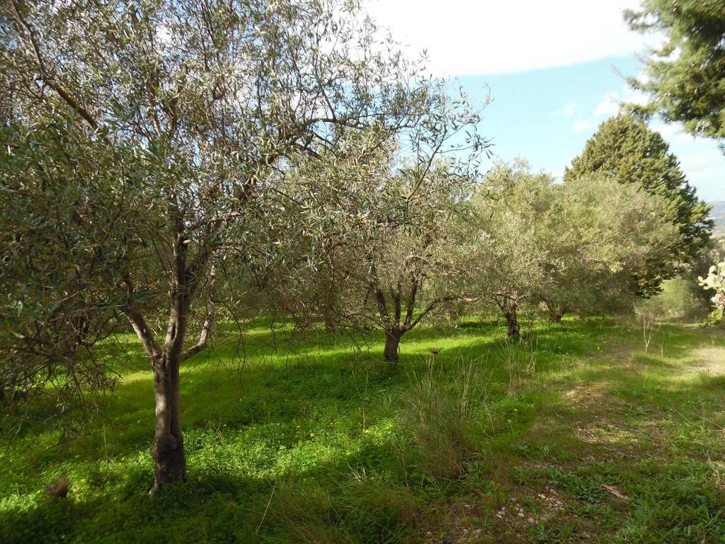Terreno a Floridia - Foto 5