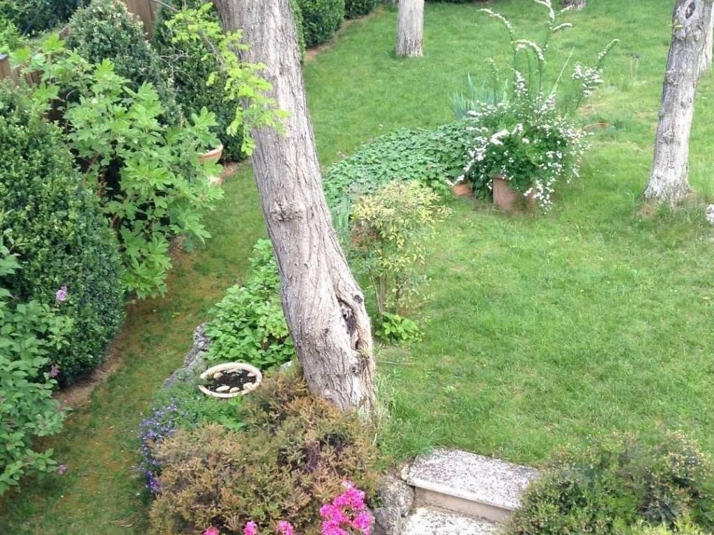 Rustico / casale a Poggibonsi - Foto 5