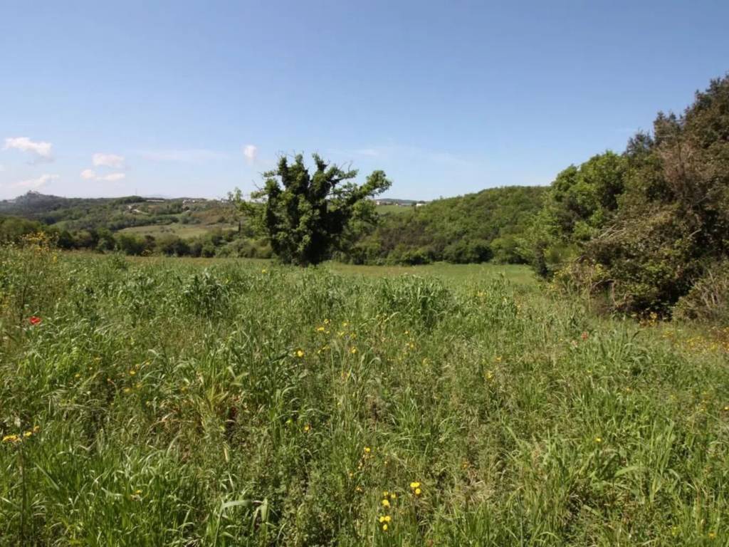 Terreno a Amelia in Strada Dei Cappuccini, 35 - Foto 3