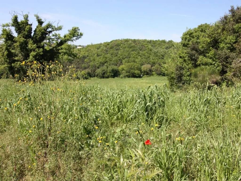 Terreno a Amelia in Strada Dei Cappuccini, 35 - Foto 4
