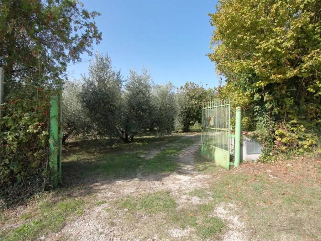 Rustico / casale a Amelia in Strada Amelia Macchie No Number - Foto 2