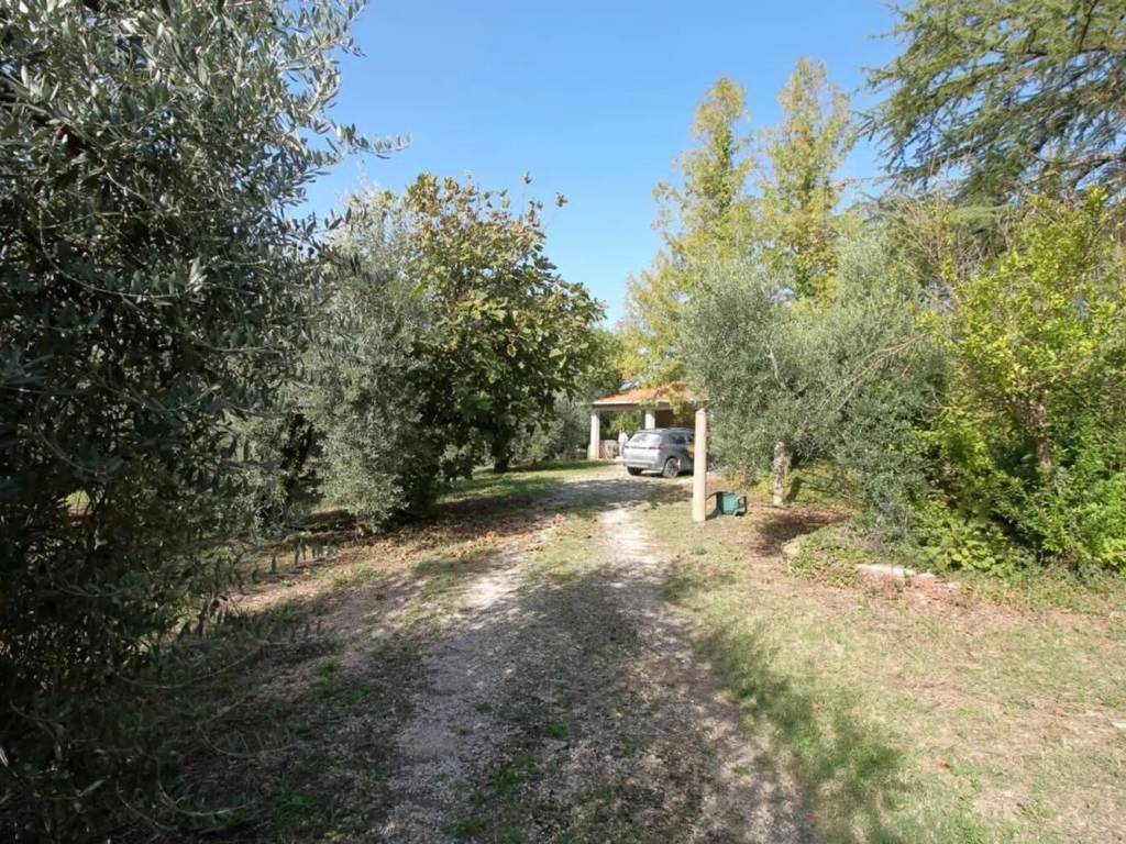 Rustico / casale a Amelia in Strada Amelia Macchie No Number - Foto 3