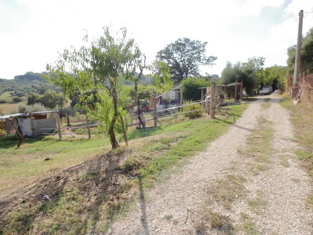 Rustico / casale a Amelia in Strada Di Sacco No Number - Foto 2