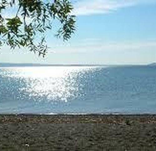 Palazzo / stabile a Montefiascone in Via Commenda - Foto 4