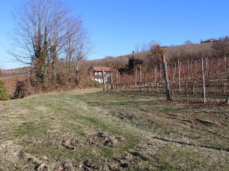 Rustico / casale a Dogliani - Foto 2