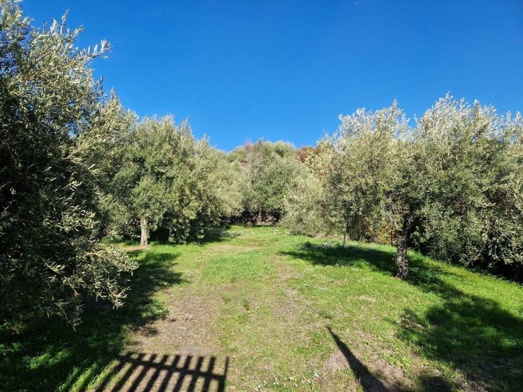 Terreno a Camporotondo etneo in Viale dello Sport - Foto 2