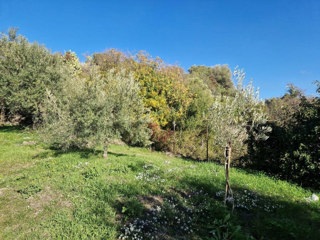 Terreno a Camporotondo etneo in Viale dello Sport - Foto 3