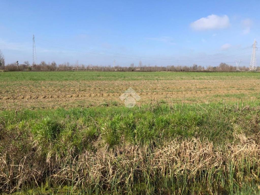 Terreno a Pianiga in Via S.G. Bosco, 1 - Foto 2