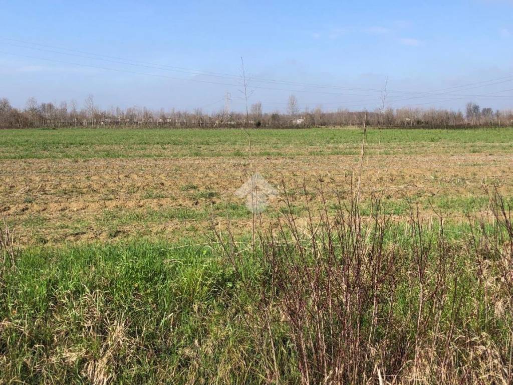 Terreno a Pianiga in Via S.G. Bosco, 1 - Foto 3