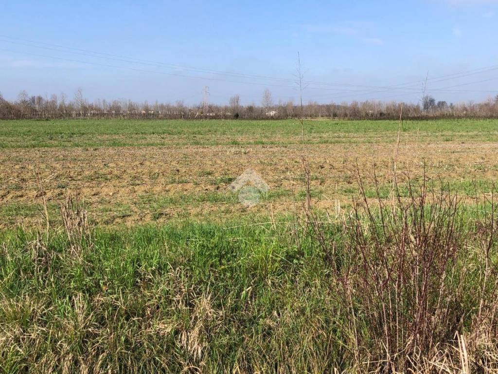 Terreno a Pianiga in Via S.G. Bosco, 1 - Foto 4
