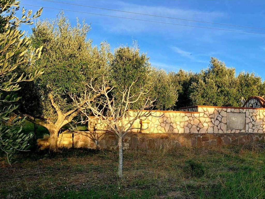 Villa a Civitavecchia - Foto 4