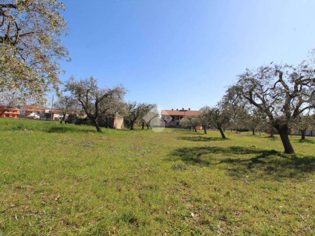Terreno a Campli in Via del Gioco - Foto 4