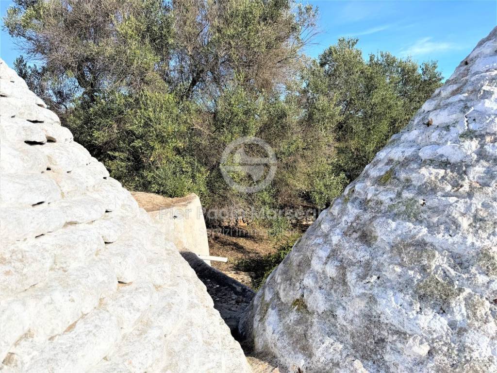 Rustico / casale a Ostuni in Contrada Cervarolo - Foto 5