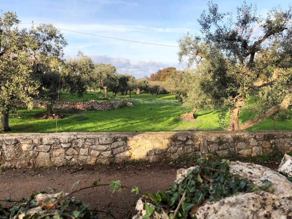 Terreno a Monopoli in Contrada Cervarulo - Foto 2
